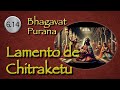 BHAGAVAT PURANA Audiolibro Español Voz Humana 6 14 El Lamento De Chitraketu