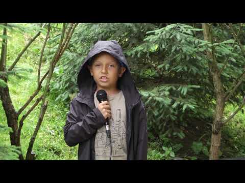 Alexandru Vlăduț, prezintă vremea în Tabăra TV Dicție.ro