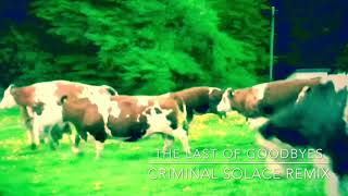 Moby - The Last of Goodbyes (Criminal Solace Remix)