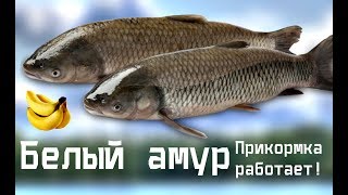 Ссылка