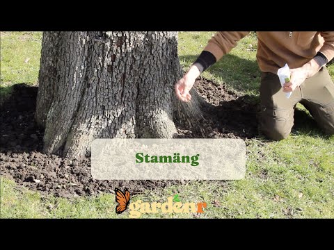 Stamäng - Trädgårdshacks med GardenR