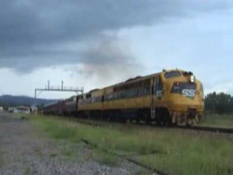 2010-02-13 S317 GM10 4204 Dungog