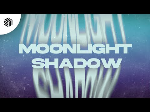 stay:us, WhiteCapMusic & Niklas Dee - Moonlight Shadow