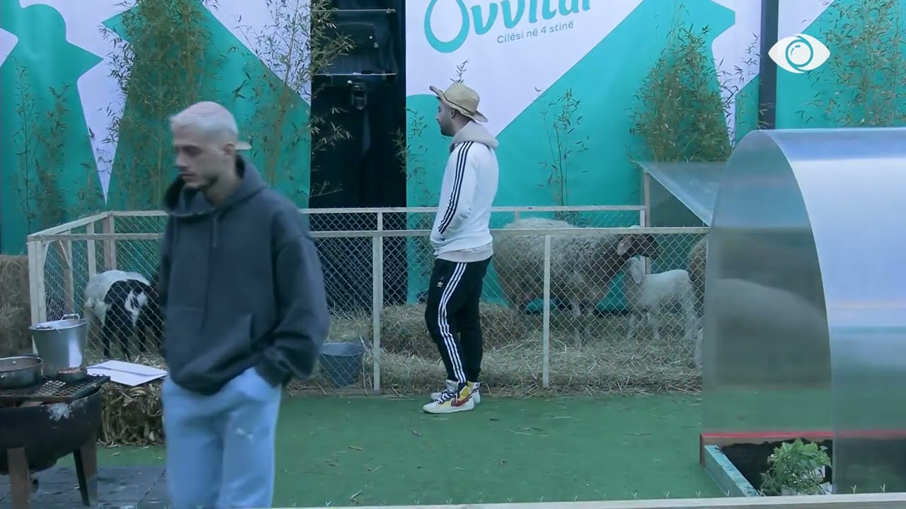 “A e dije që është inteligjente?”/ Meritoni ndërhyn në debatin Ilnisa-Ledjona