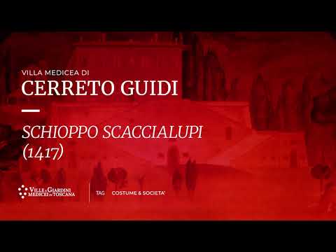 Villa medicea di Cerreto Guidi - Schioppo Scaccialupi