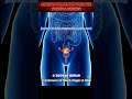 Most Powerful Ruqyah For Jinn In Private Parts Uterus