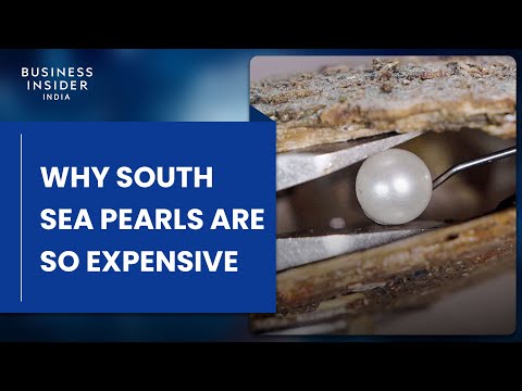 Why South Sea Pearls Are So Expensive | So Expensive