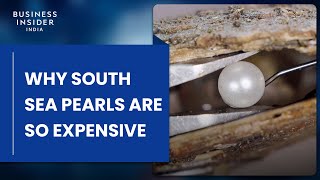 Why South Sea Pearls Are So Expensive | So Expensive