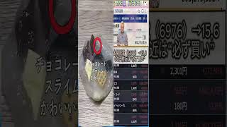 短期投資,#資産運用,#資産形成,#投資戦略,#投資信託,#ETF,#インデックス投資,#積立投資,#NISA,#新NISA,#つみたてNISA,#iDeCo,#配当金,#配当利回り,#決算