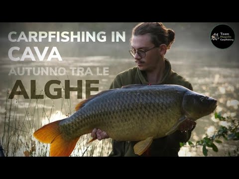 Carpfishing in cava- autunno tra le alghe