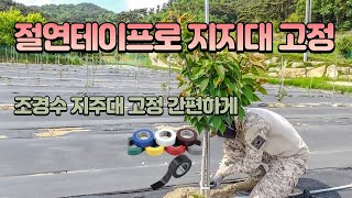 【지지대 세우고 간편하게 지주끈 고정하기】 