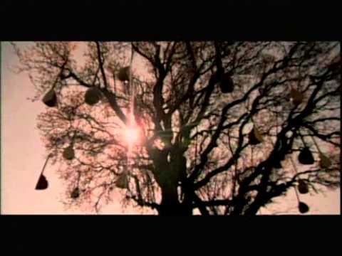 Tanrıdan Diledim - Yavuz Bingöl