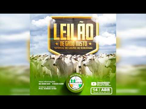 AO VIVO - Leilão de Gado Misto - 14/04/2026 - Sindicato Rural de Rubiataba