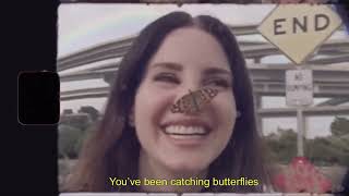 Lana Del Rey Butterflies Pt 2 Music Video with Lyrics