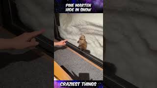 Miniature vidéo