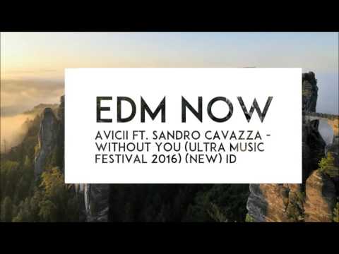 Avicii ft. Sandro Cavazza - Without You (Ultra Music Festival 2016) ID