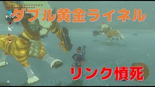 【ゼルダの伝説 Switch】ダブル黄金ライネルにボコボコにされる【BotW】
