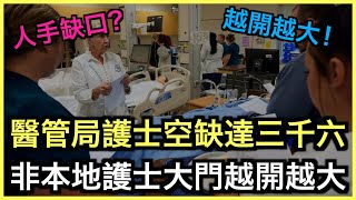 一片睇哂｜政府引入非本地護士鋪路！？質素把關成隱憂！？｜土炮新聞台