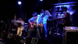 the evening primrose - gold days (cover sparklehorse)