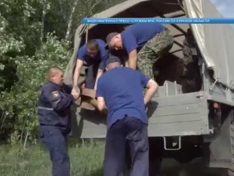 В Курской области обнаружили арсенал боеприпасов