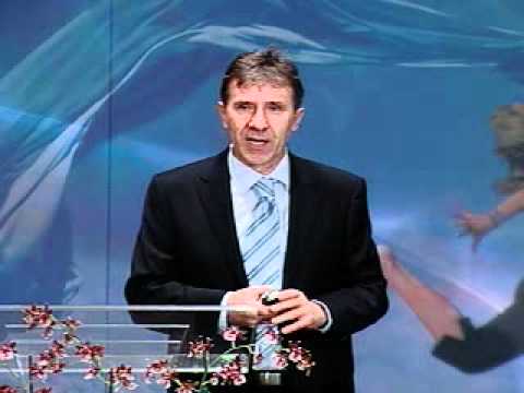 Budi zdrav 1 Stres-da li znamo dovoljno o njemu-Dragan Ivanov