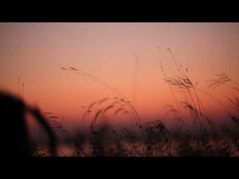 Solstice I Judah Earl & The Purple Kite #music #cinematic #rest