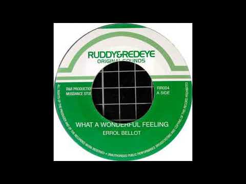 Errol Bellot - What A Wonderful Feeling