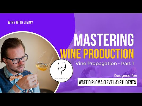 WSET Level 4 (WSET Diploma) Wine - Mastering Wine Production - Vine Propagation Part 1