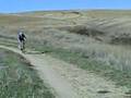 Downhill Side Of Gunbarrel Hill