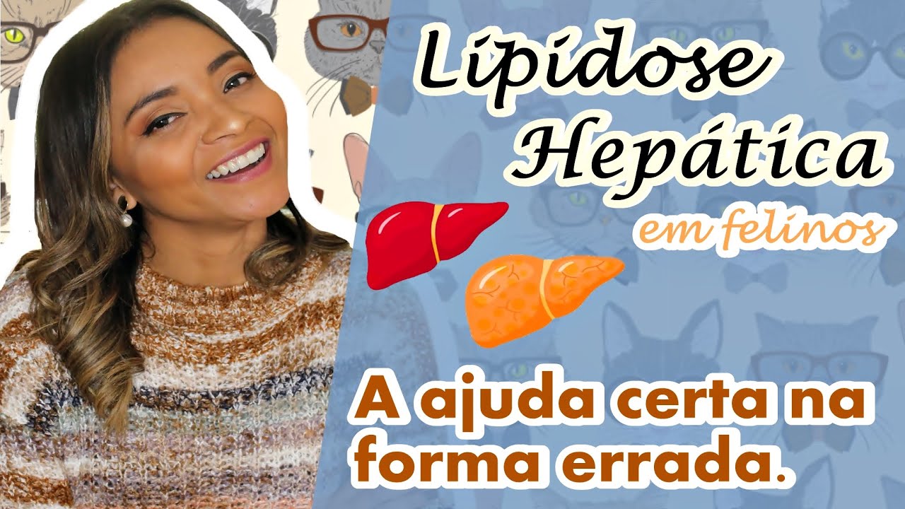 #LIPIDOSE HEPÁTCA EM #FELINOS A AJUDA CERTA NA FORMA ERRADA
