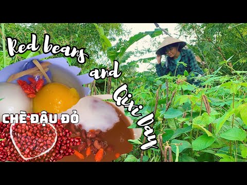 Red beans sweet soup and love story Qixi festival | Dessert vlog |Ep 7: BÁNH TRÔI NƯỚC