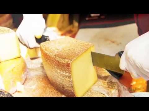 Cheese Making 101: Beginners Guide to Cheese Making At Home
