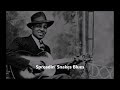 Big Bill Broonzy-Spreadin' Snakes Blues