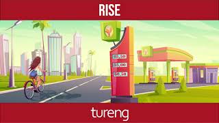 Common English Words by Tureng - Rise (1 n)