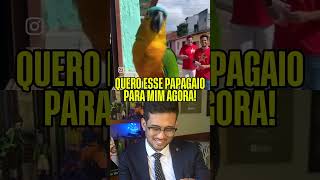 PAPAGAIO INTELIGENTE DA MOLESTIA! #cortesmbl #kimkataguiri #mbl
