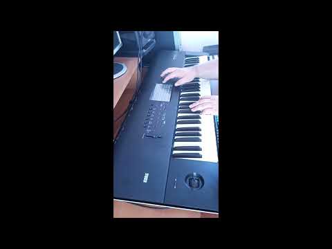 PIANOS KORG NAUTILUS PIANOS