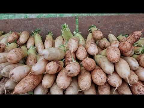 365 anos atrás!! 365 anos atrás 휴, 24시간 영업 Nonghyup Hanaro Mart