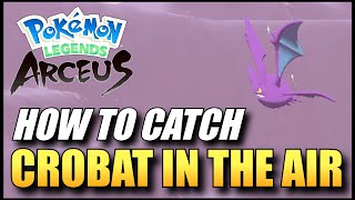Pokemon Legends: Arceus - How To Catch Crobat In The Air / Pokedex Task