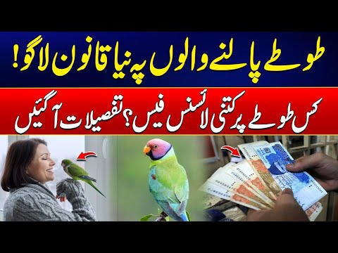 Shocking News for Parrot Lovers: License Now Required! - Fee Details Revealed - 24 News HD