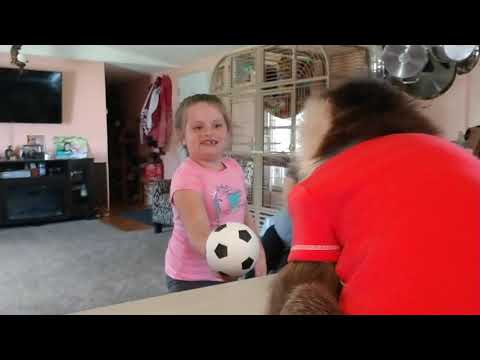 Girl Laughs So Hard When Grandma Gets Hit