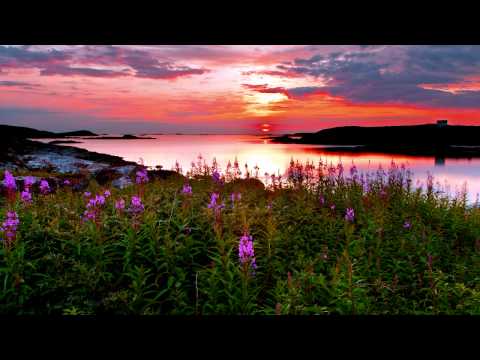 Farhad Mahdavi & Park Jong Me - Korean Romance