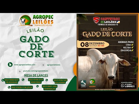 Agropecleiloes AO VIVO | LEILÃO GADO DE CORTE | SANTHYAGO LEILÕES |FORMOSO DO ARAGUAIA-TO | 08/12/25