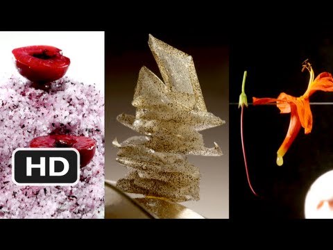 El Bulli: Cooking In Progress (2011) Trailer