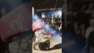 Download lagu Bulan mama Lela bermain pencak silat #shorts #viral #trending #shortsviral mp3