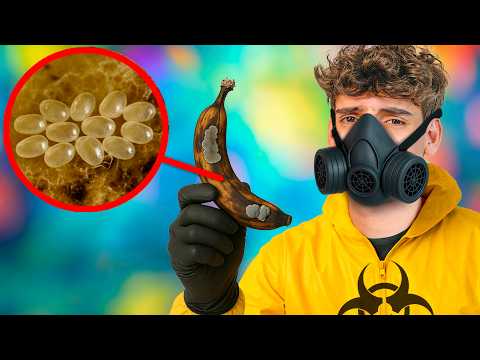 ⚠️Creo Peligroso Ecosistema de Bacterias Microscópicas⚠️