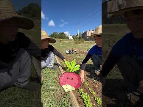 私の庭にある55本の薬用植物