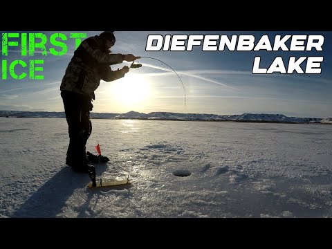 Early Ice Walleye's! Minimum Technology With Best Results