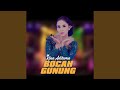 Bocah Gunung Dangdut Version