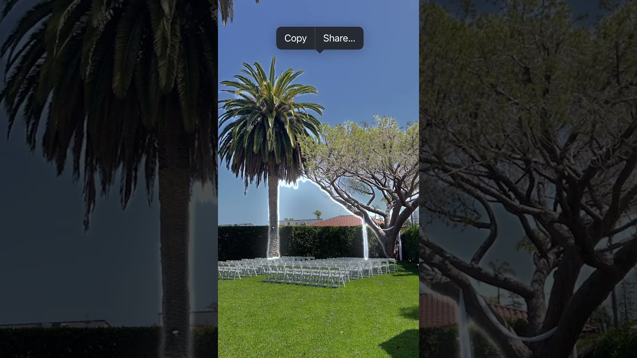 Pop My Ceremony - Santa Barbara Wedding! #shorts