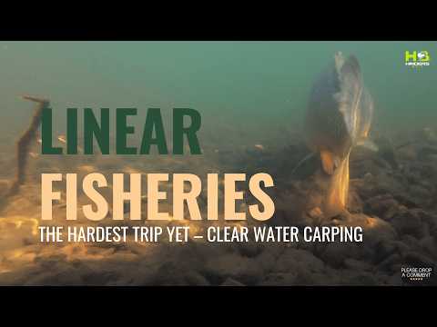 The Hardest Trip Yet – Clear Water Carp at Linear Fisheries